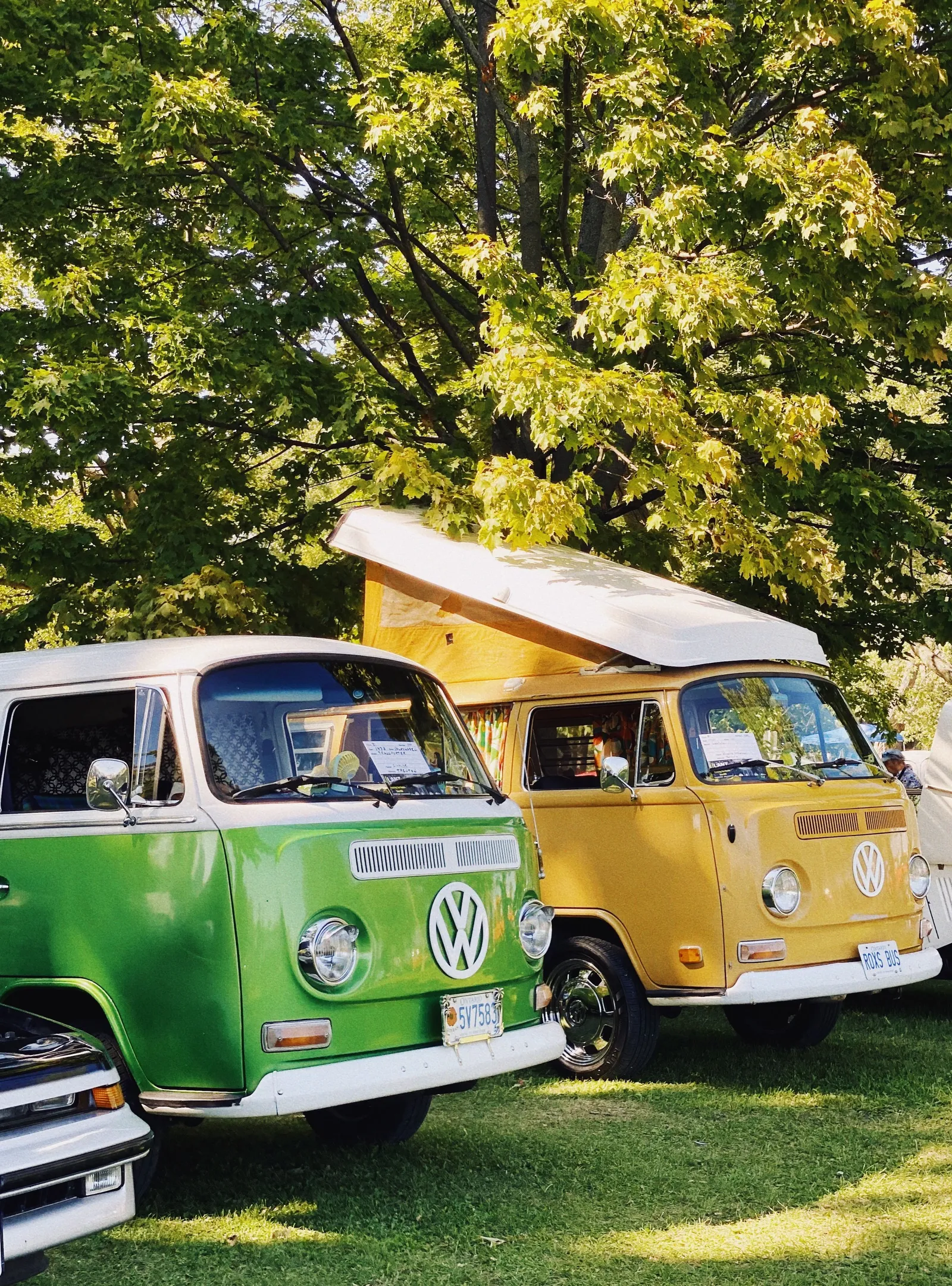 Camping
