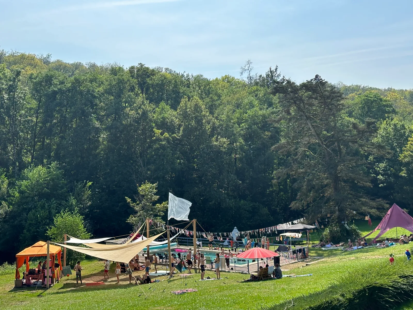 Zaunkönig*in