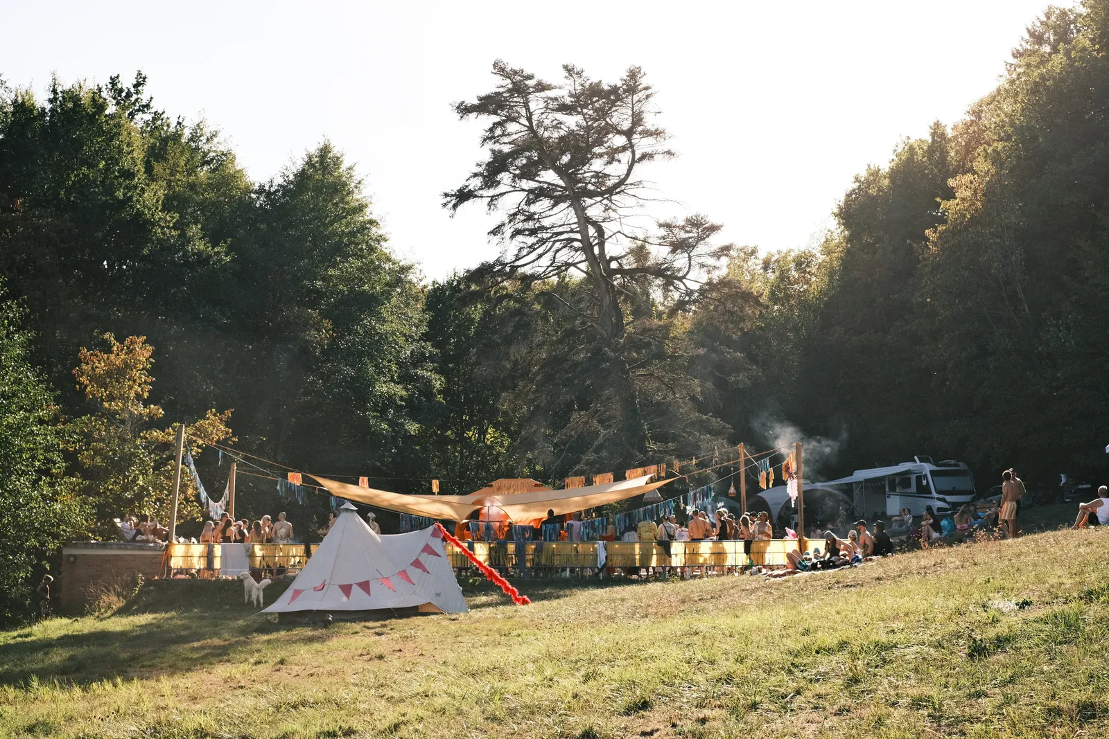 Zaunkönig*in